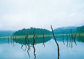 kerala tourism, south india tourism