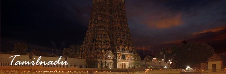 pioneer tours/travels - tamilnadu